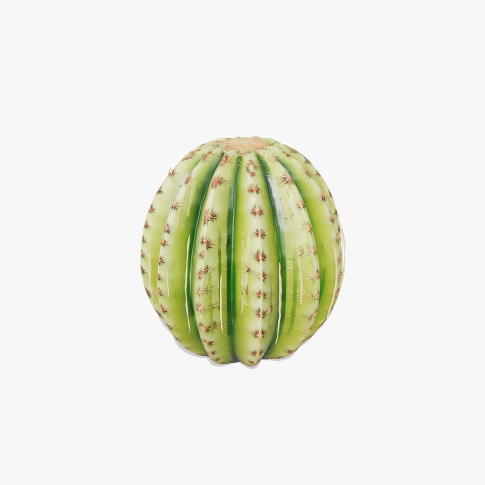 Green Desert Cactus model pack